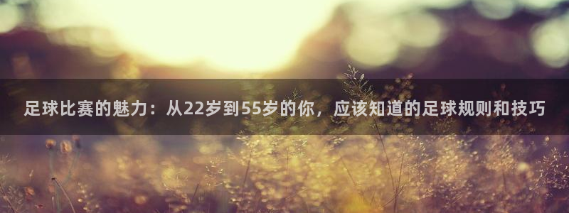 足球比赛的魅力：从22岁到55岁的你，应该知道的足球规则和技