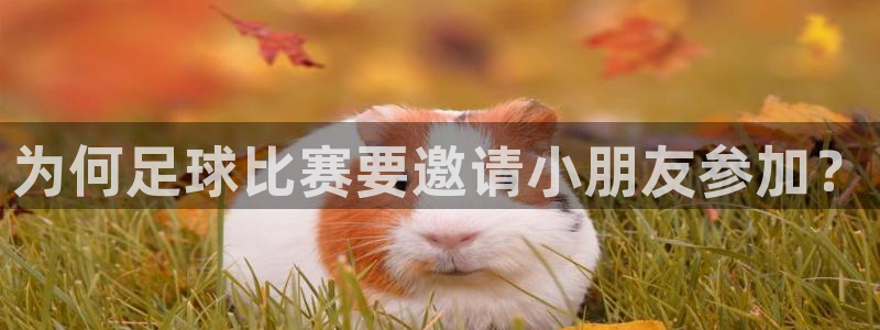 为何足球比赛要邀请小朋友参加？