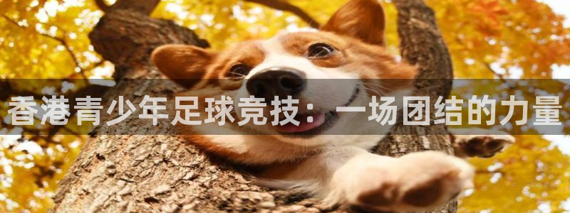  香港青少年足球竞技：一场团结的力量