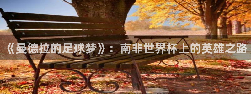 《曼德拉的足球梦》：南非世界杯上的英雄之路