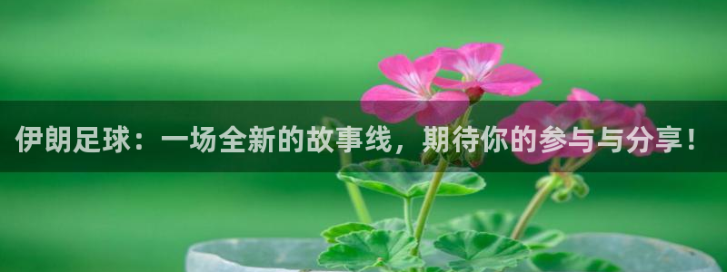 伊朗足球：一场全新的故事线，期待你的参与与分享！