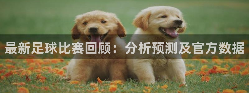最新足球比赛回顾：分析预测及官方数据