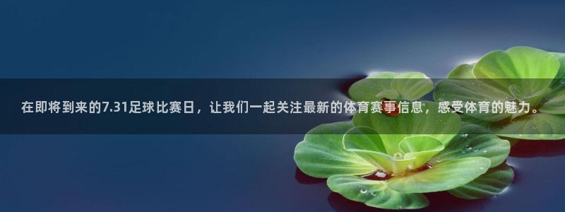  在即将到来的7.31足球比赛日，让我们一起关注最新的体育赛事