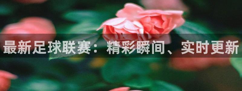  最新足球联赛：精彩瞬间、实时更新