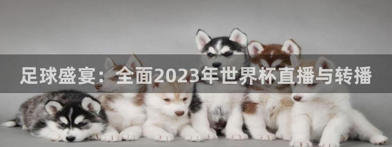  足球盛宴：全面2023年世界杯直播与转播