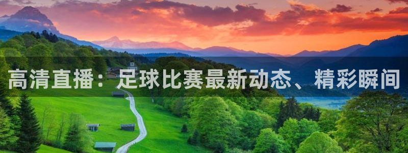 高清直播：足球比赛最新动态、精彩瞬间