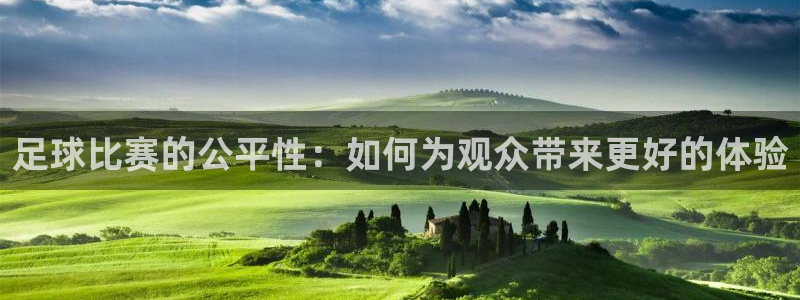  足球比赛的公平性：如何为观众带来更好的体验