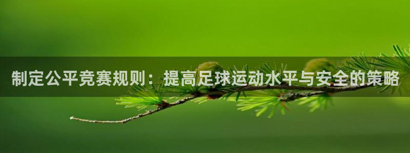  制定公平竞赛规则：提高足球运动水平与安全的策略