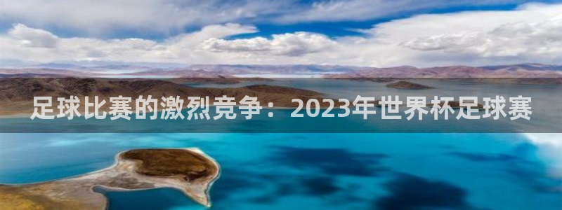  足球比赛的激烈竞争：2023年世界杯足球赛