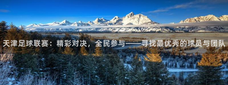  天津足球联赛：精彩对决，全民参与——寻找最优秀的球员与团队