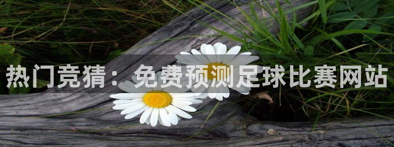  热门竞猜：免费预测足球比赛网站