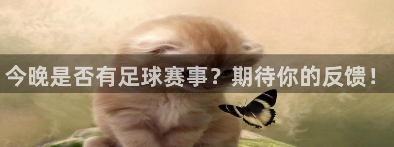  今晚是否有足球赛事？期待你的反馈！