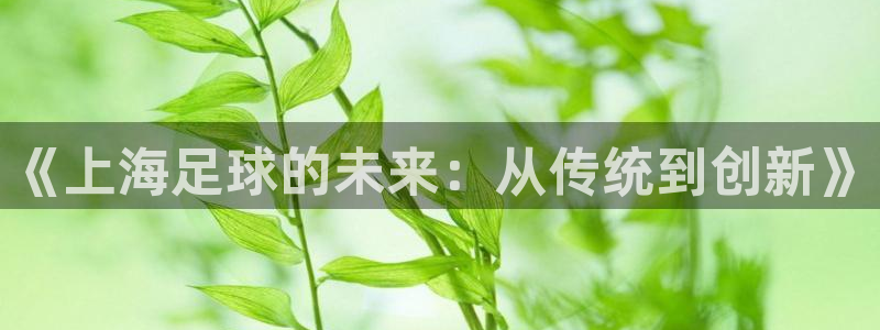  《上海足球的未来：从传统到创新》