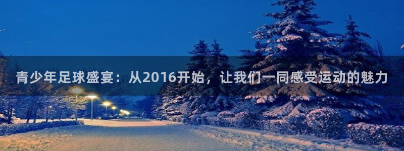  青少年足球盛宴：从2016开始，让我们一同感受运动的魅力