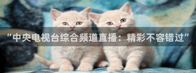 搜球吧零点吧nba直播：“中央电视台综合频道直播：精彩不容错过”