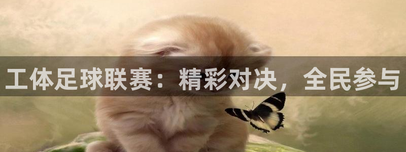工体足球联赛：精彩对决，全民参与
