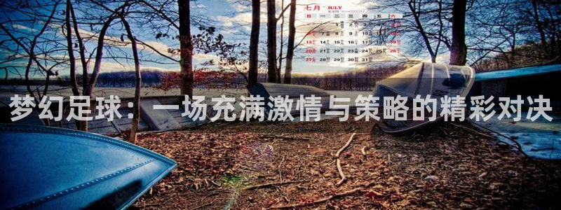 梦幻足球：一场充满激情与策略的精彩对