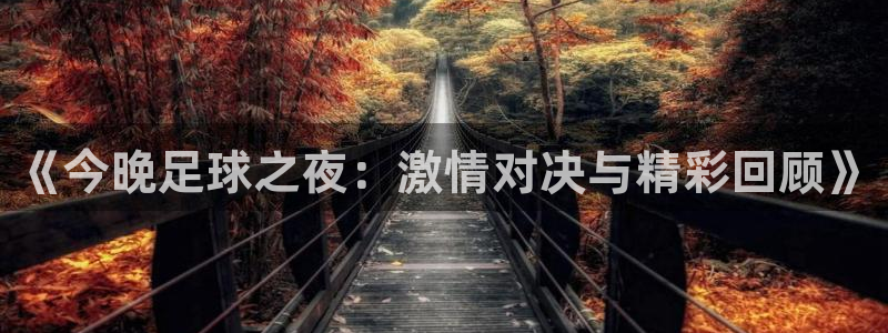 《今晚足球之夜：激情对决与精彩回顾》