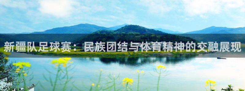 新疆队足球赛：民族团结与体育精神的交