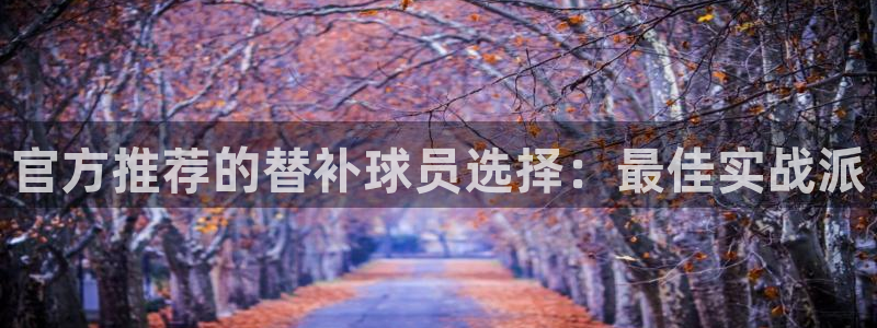 官方推荐的替补球员选择：最佳实战派