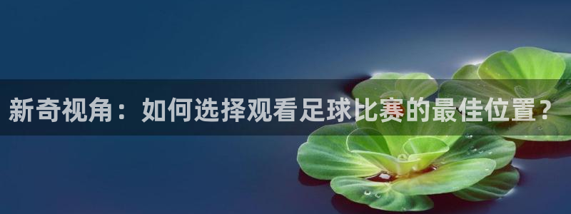 新奇视角：如何选择观看足球比赛的最佳