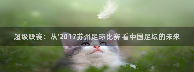 超级联赛：从\'2017苏州足球比赛