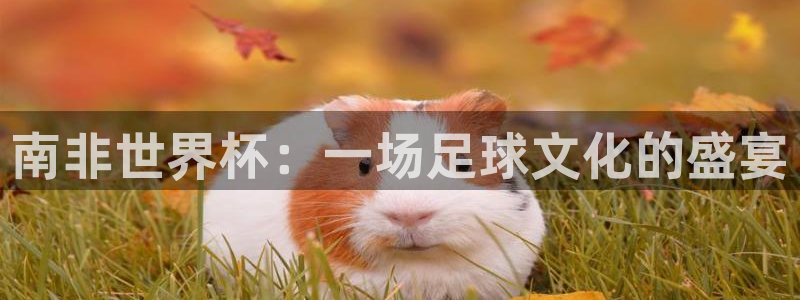 南非世界杯：一场足球文化的盛宴