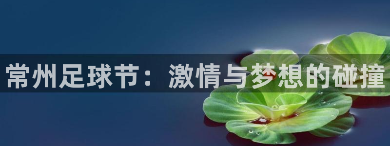 常州足球节：激情与梦想的碰撞