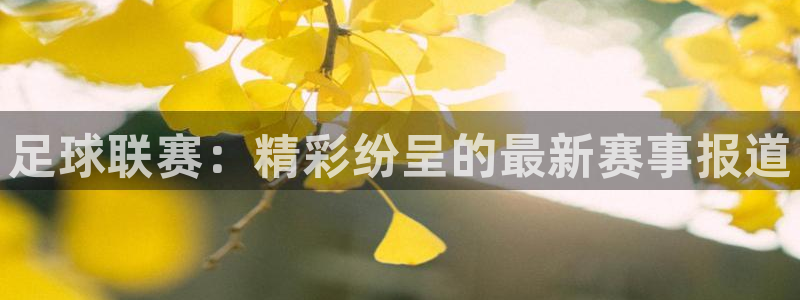  足球联赛：精彩纷呈的最新赛事报道