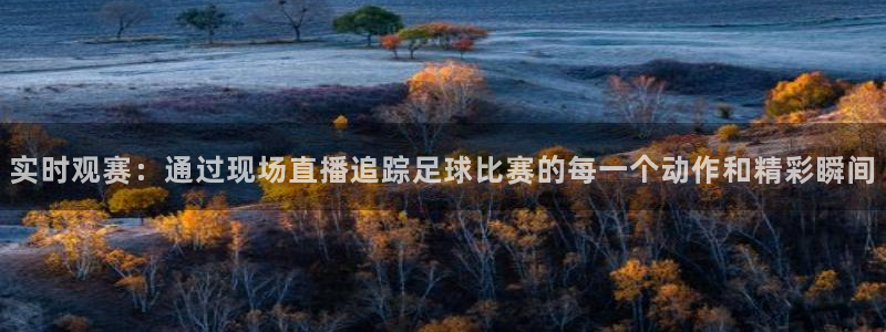 实时观赛：通过现场直播追踪足球比赛的