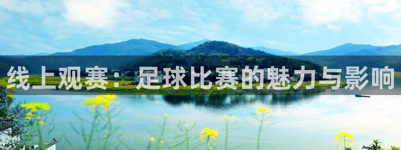 线上观赛：足球比赛的魅力与影响