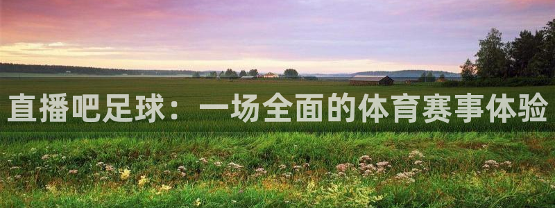 nba直播搜球吧：直播吧足球：一场全面的体育赛事体验
