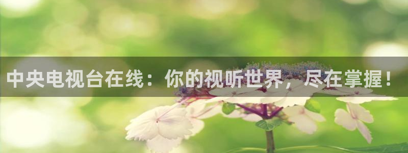 搜球吧在线直播免费观看：中央电视台在线：你的视听世界，尽在掌握！