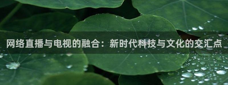 搜球直播吧：网络直播与电视的融合：新时代科技与文化的交汇点