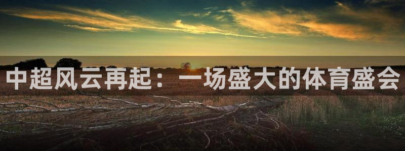 搜球体育官网：中超风云再起：一场盛大的体育盛会