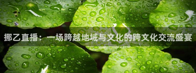 搜球吧直播nba