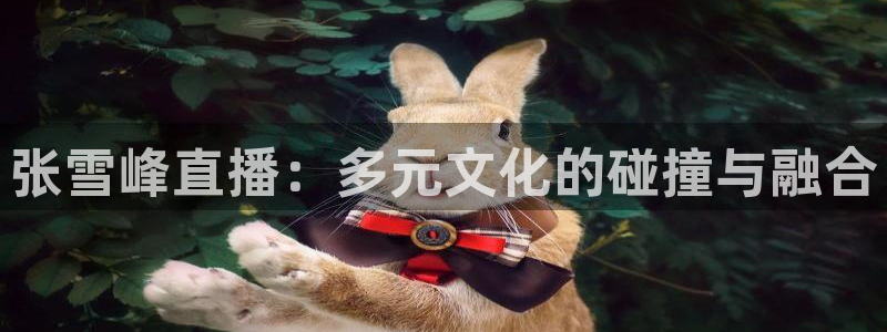 搜球直播吧：张雪峰直播：多元文化的碰撞与融合