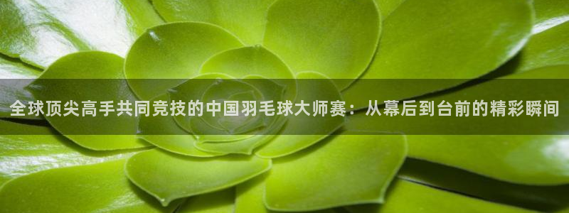 搜球8直播：全球顶尖高手共同竞技的中国羽毛球大师赛：从幕后到台前的精彩瞬间